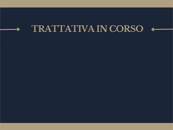 MONOLOCALE CON GIARDINO PRIVATO